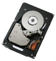 Жесткий диск 250Gb SATA-II IBM (43W7598/39M4526)